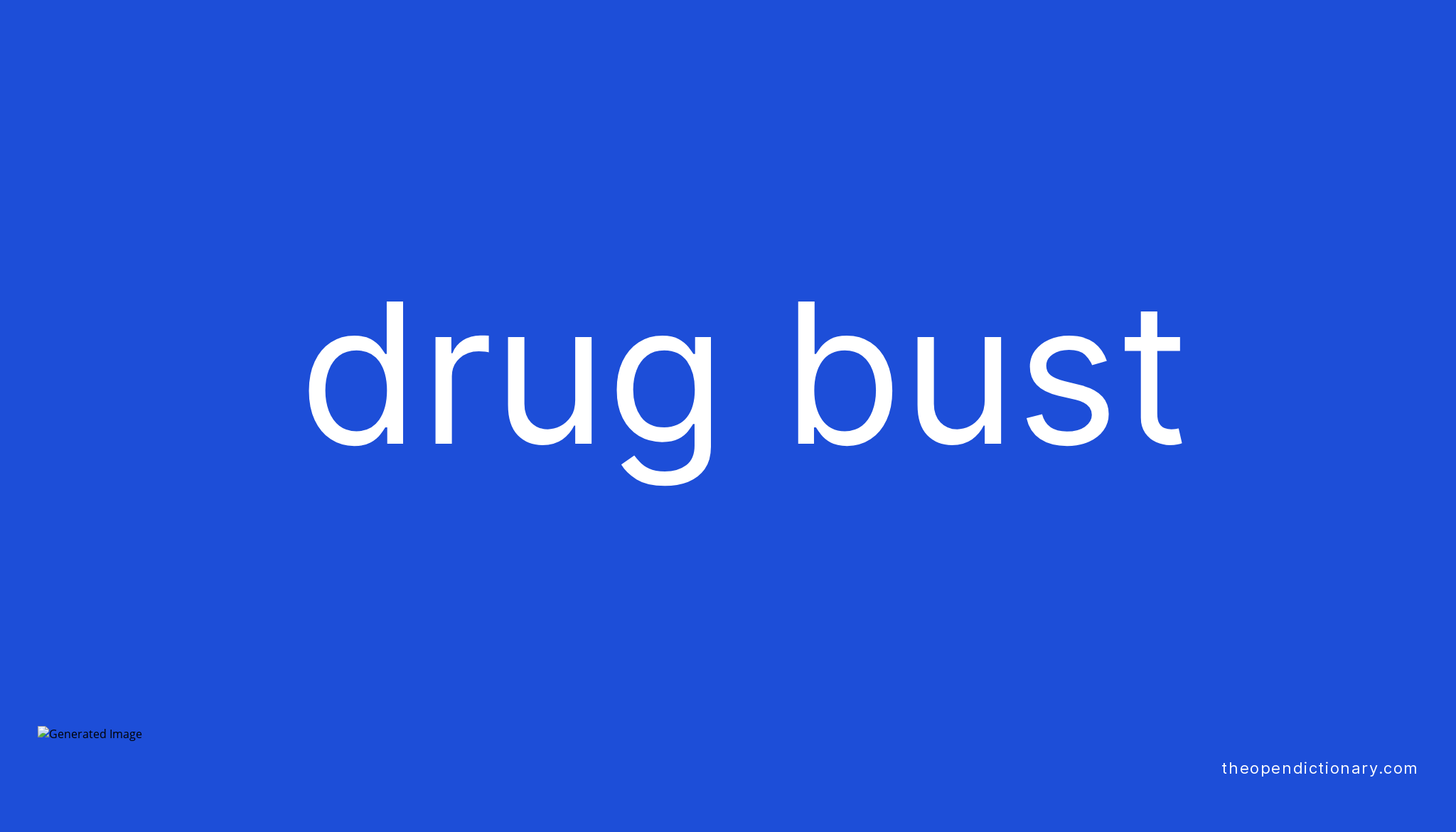 What Is The Meaning Of Drug Bust